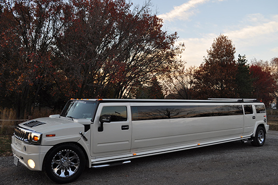 Fancy Limousine